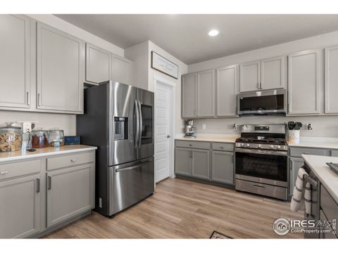 Tiny photo for 971 Mouflon Dr, Severance, CO 80550 (MLS # 1045752)