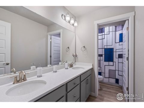 Tiny photo for 971 Mouflon Dr, Severance, CO 80550 (MLS # 1045752)
