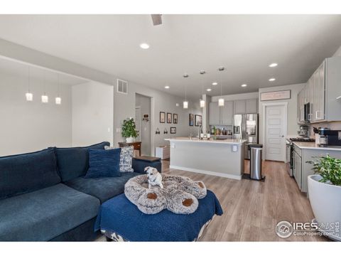 Tiny photo for 971 Mouflon Dr, Severance, CO 80550 (MLS # 1045752)
