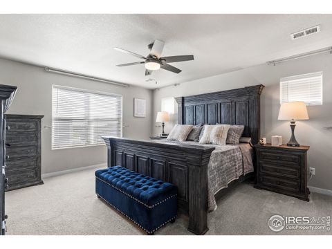 Tiny photo for 971 Mouflon Dr, Severance, CO 80550 (MLS # 1045752)