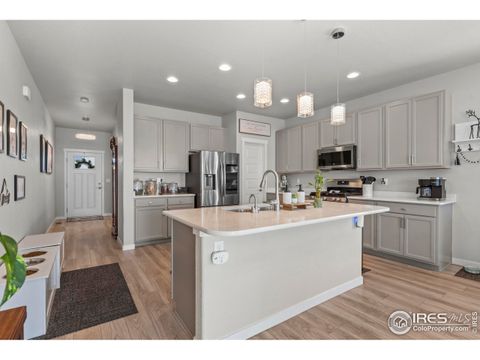 Tiny photo for 971 Mouflon Dr, Severance, CO 80550 (MLS # 1045752)