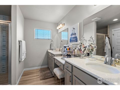 Tiny photo for 971 Mouflon Dr, Severance, CO 80550 (MLS # 1045752)