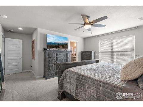 Tiny photo for 971 Mouflon Dr, Severance, CO 80550 (MLS # 1045752)