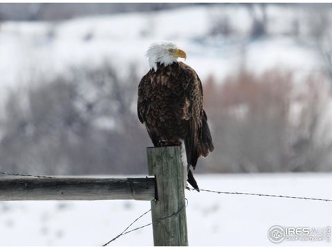 Tiny photo for 4937 Valkyrie Dr, Boulder, CO 80301 (MLS # 1042493)