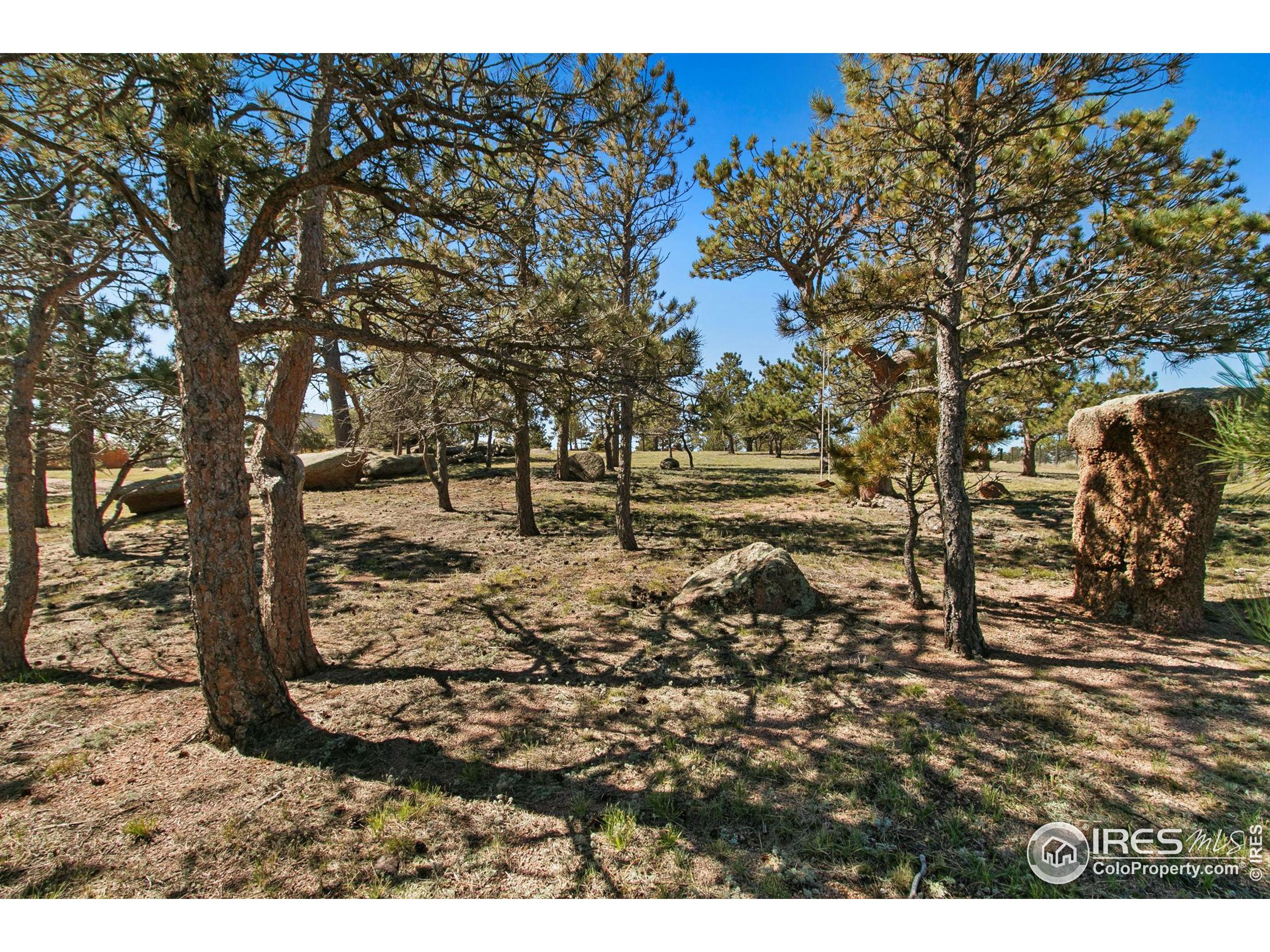 9512 Red Mountain Rd