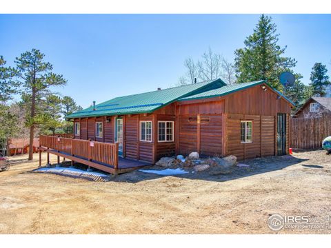 6 Ski Rd Allenspark CO 80510