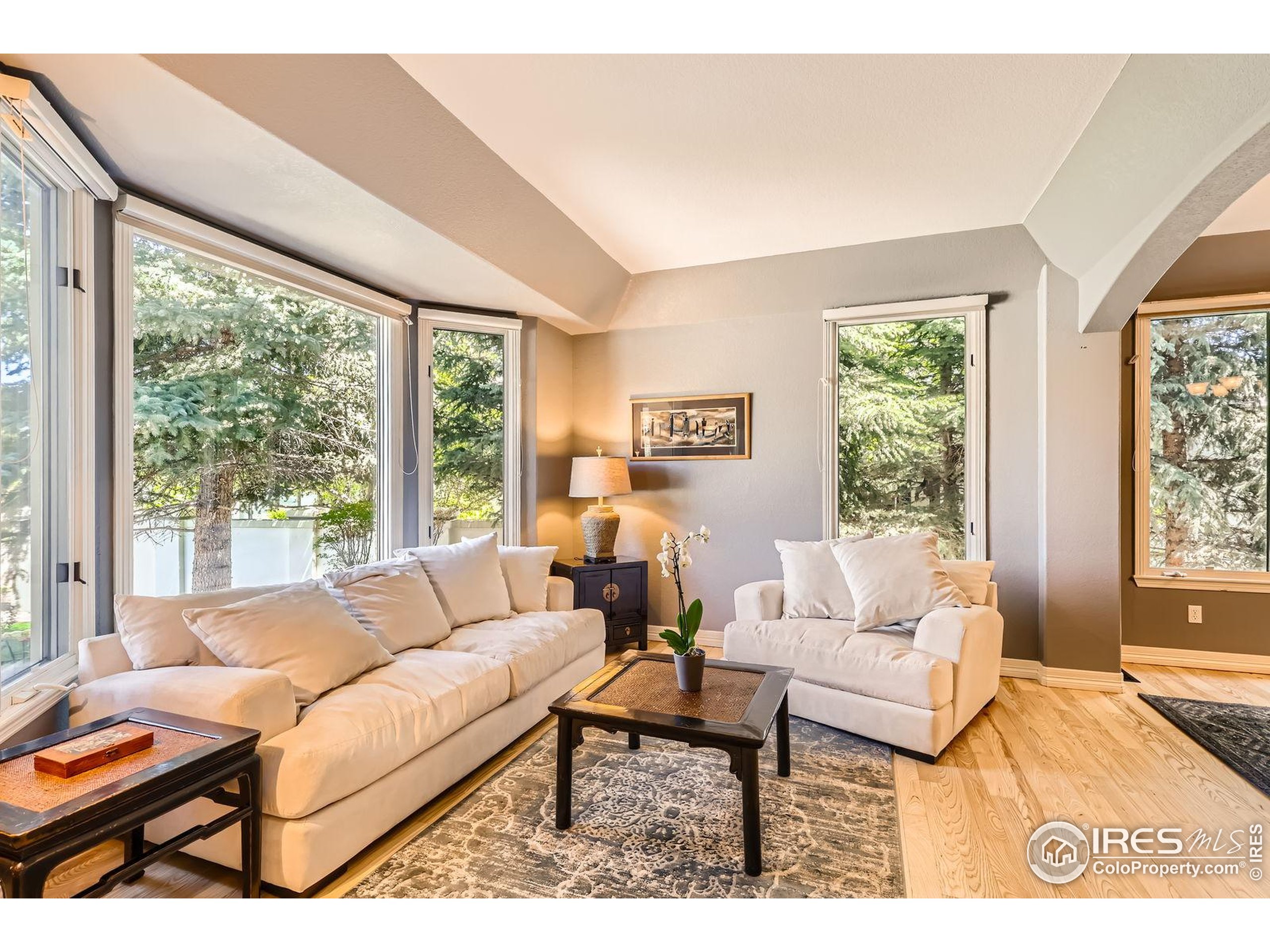 933 Xenon Ct