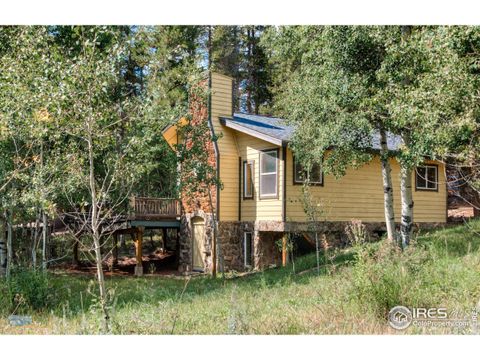 423 Mountain Meadows Dr Black Hawk CO 80422