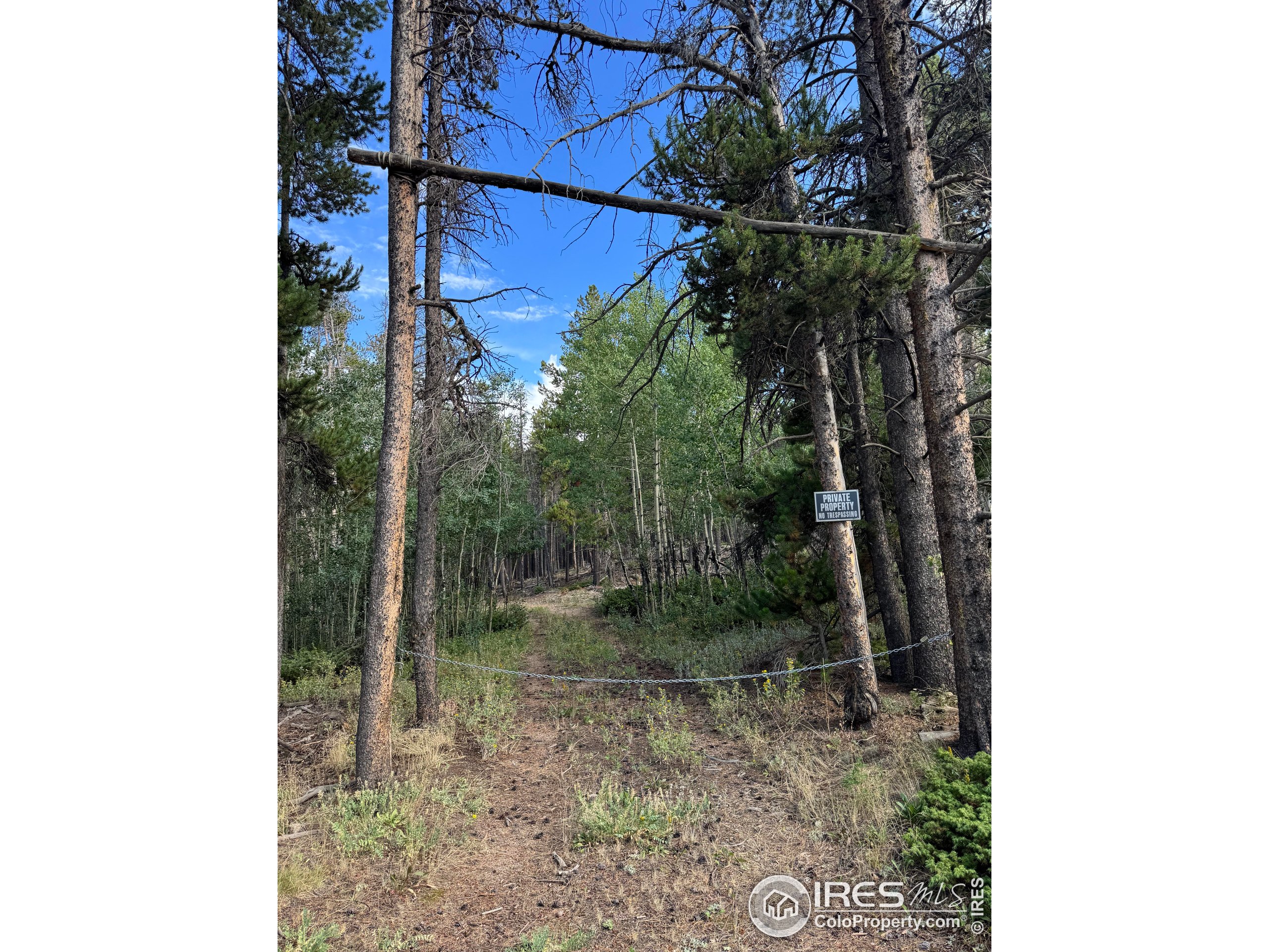 0 Magnolia Dr