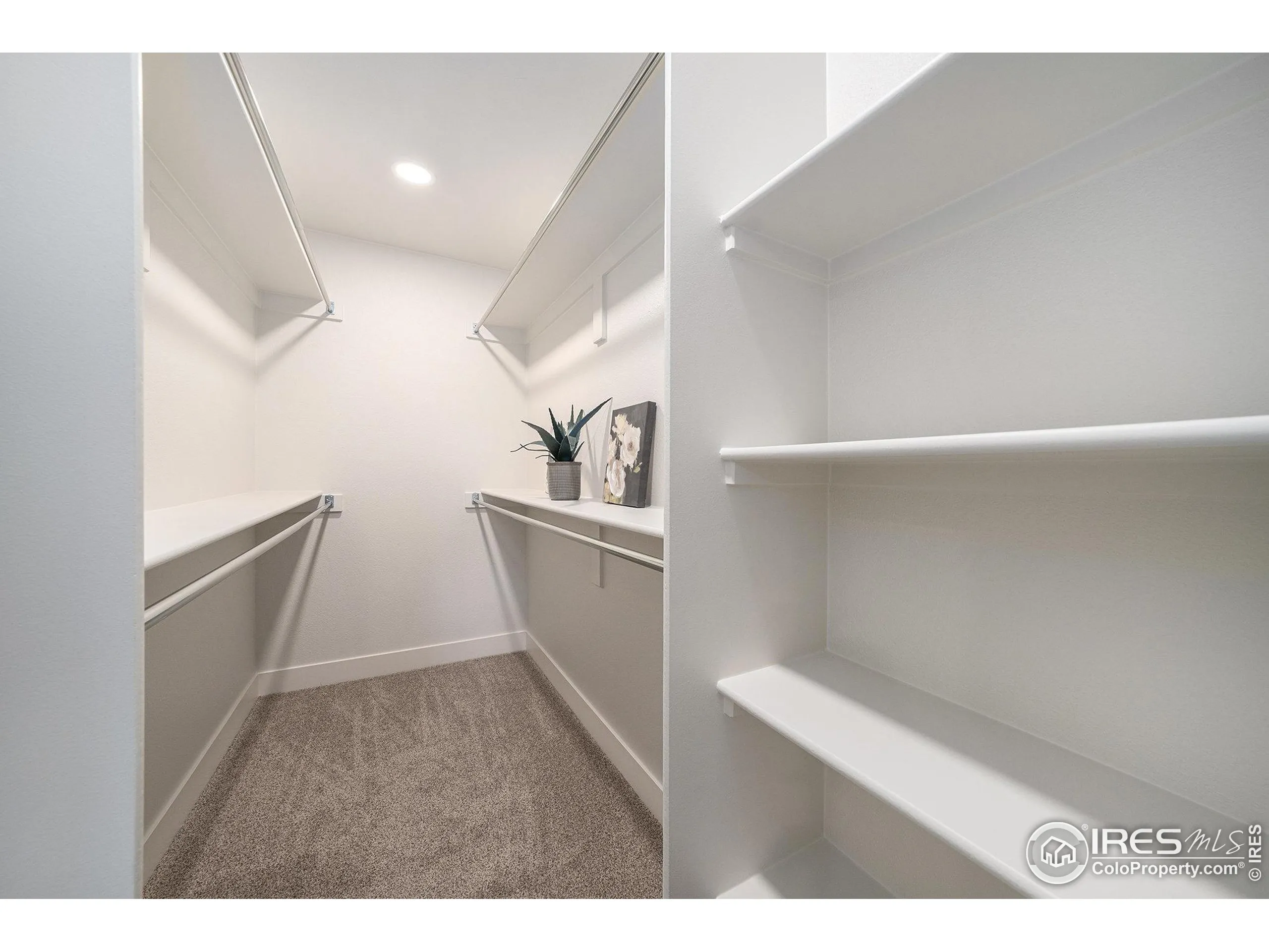 Fort Collins, Colorado 80525, United States, 4 Bedrooms Bedrooms, ,4 BathroomsBathrooms,Residential,Active,245407