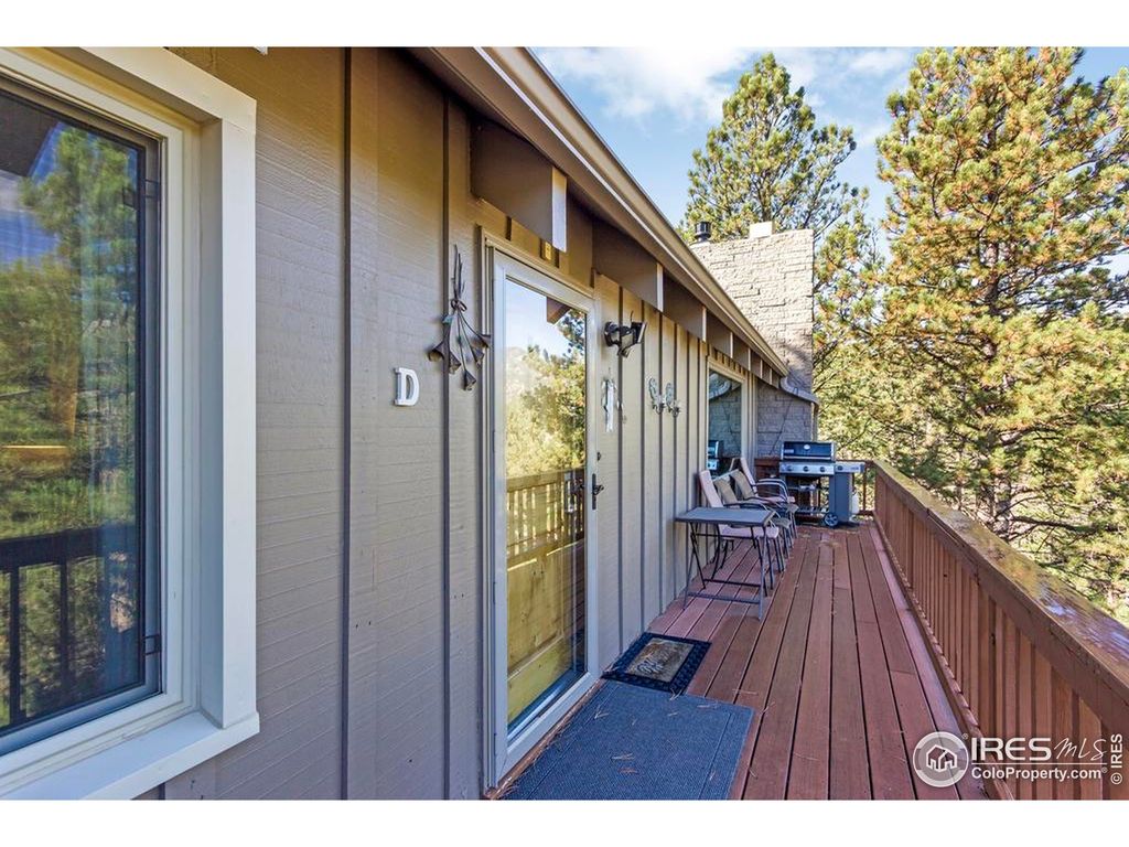 Photo of 206 Twin Owls Ln, Estes Park, CO 80517 (MLS # 1045745)