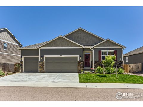 1617 Clarendon Dr, Windsor, CO 80550 - #: 990910