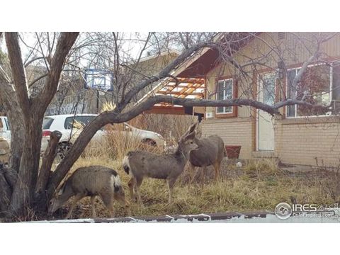 Tiny photo for 725 34th St, Boulder, CO 80303 (MLS # 1045036)