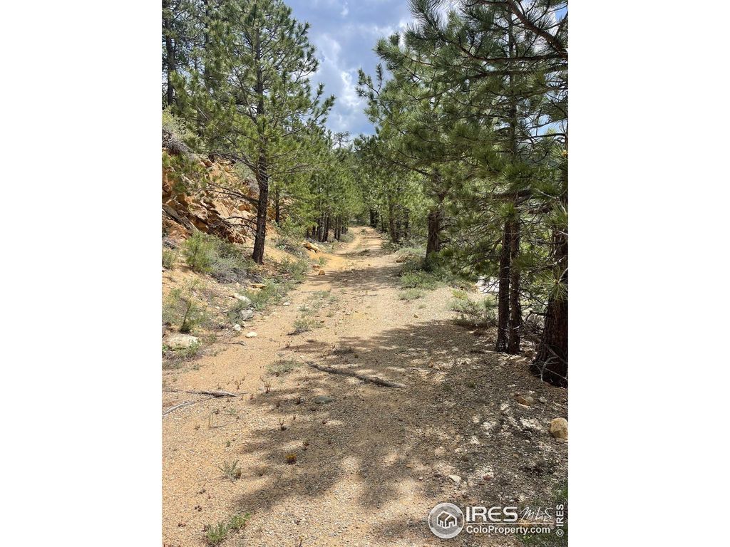 Photo of 1111 Spruce Dr, Lyons, CO 80540 (MLS # 1013728)