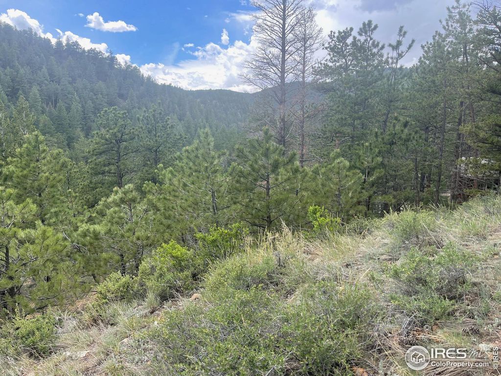 Photo of 1111 Spruce Dr, Lyons, CO 80540 (MLS # 1013728)