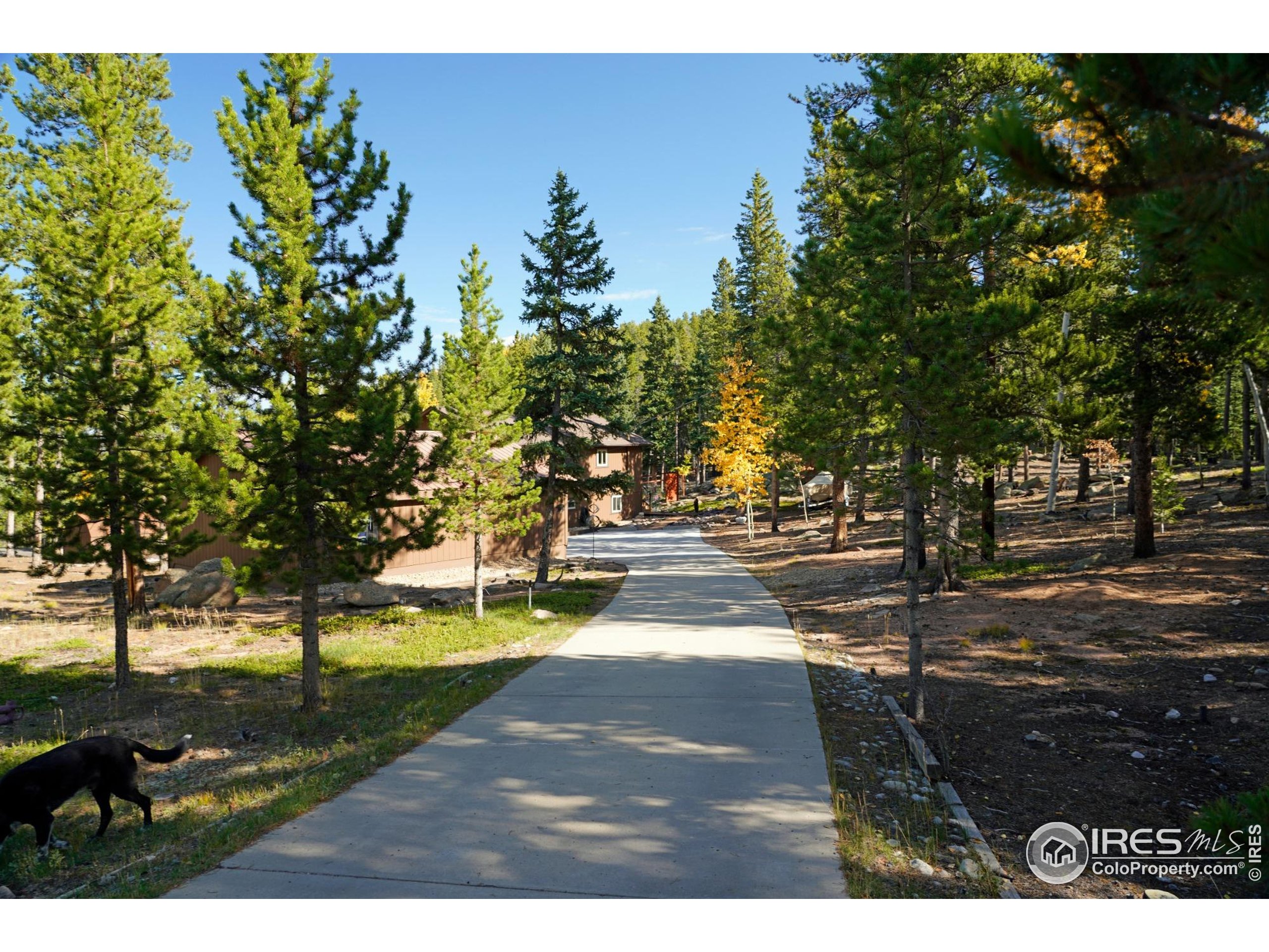10649 Christopher Dr