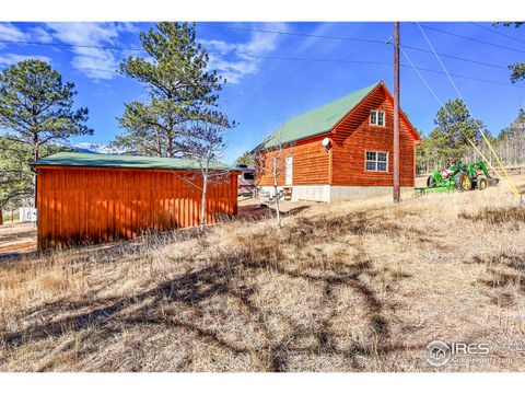 290 Clark Rd Bailey CO 80421