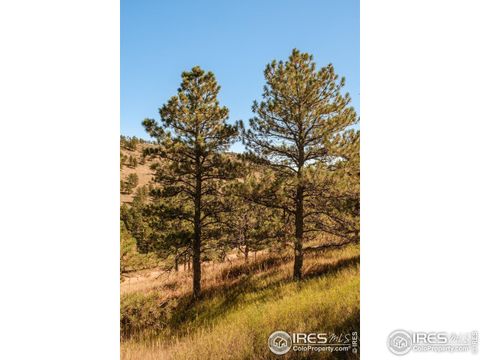 Tiny photo for 6365 Red Hill Rd, Boulder, CO 80302 (MLS # 1045883)