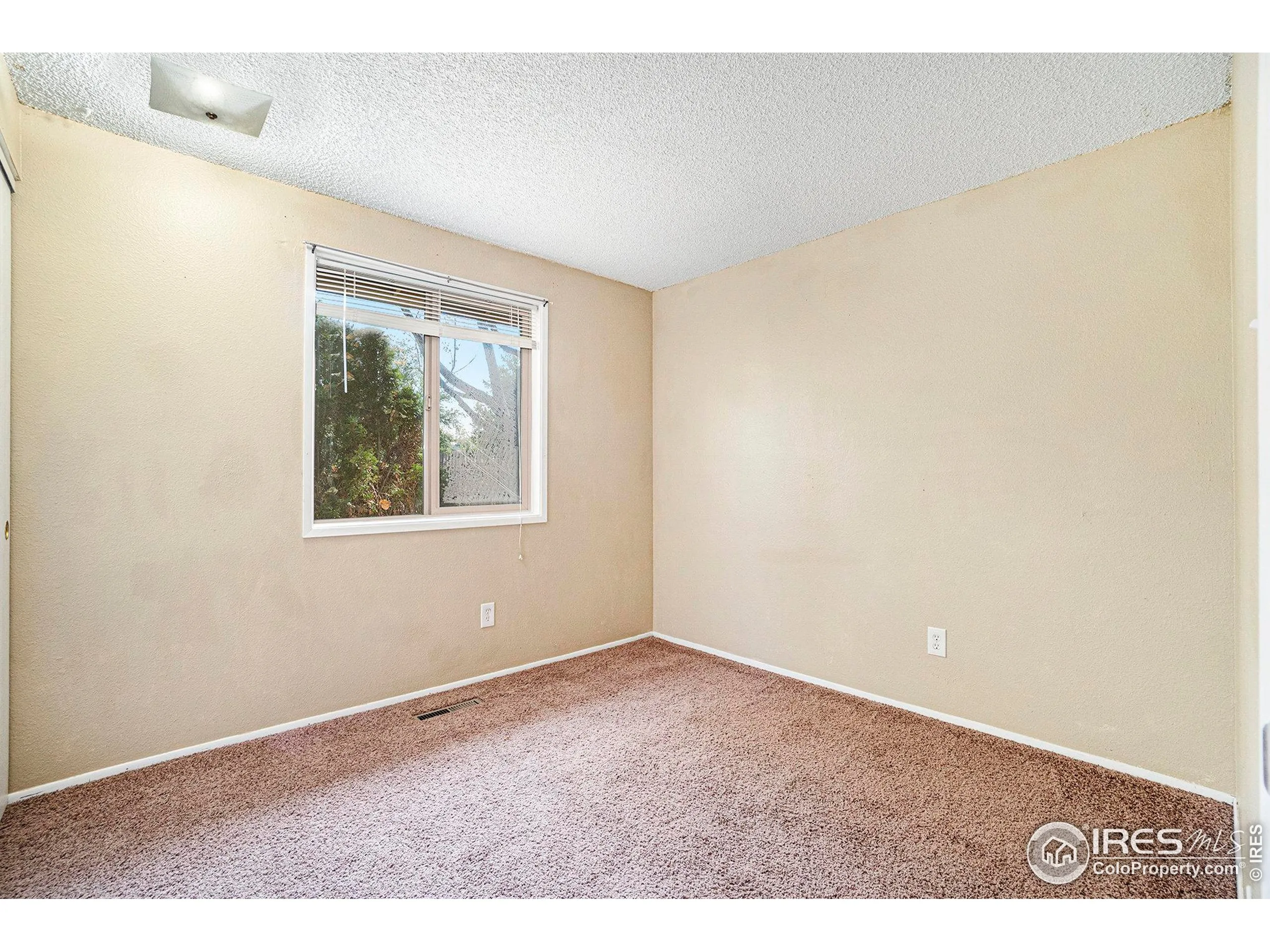 Loveland, Colorado 80537, United States, ,3 BathroomsBathrooms,Residential,Active,39350