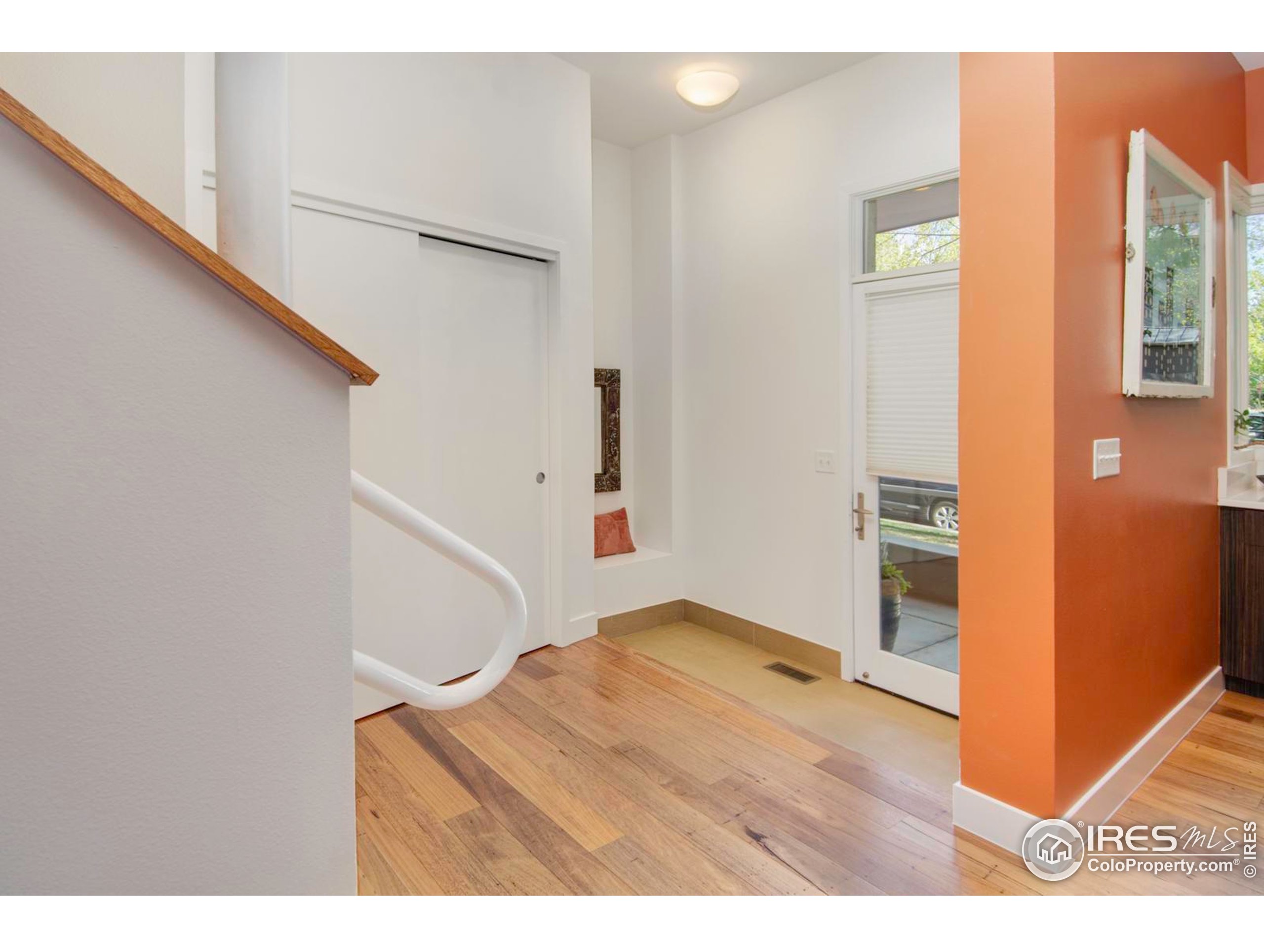 1025 Neon Forest Cir