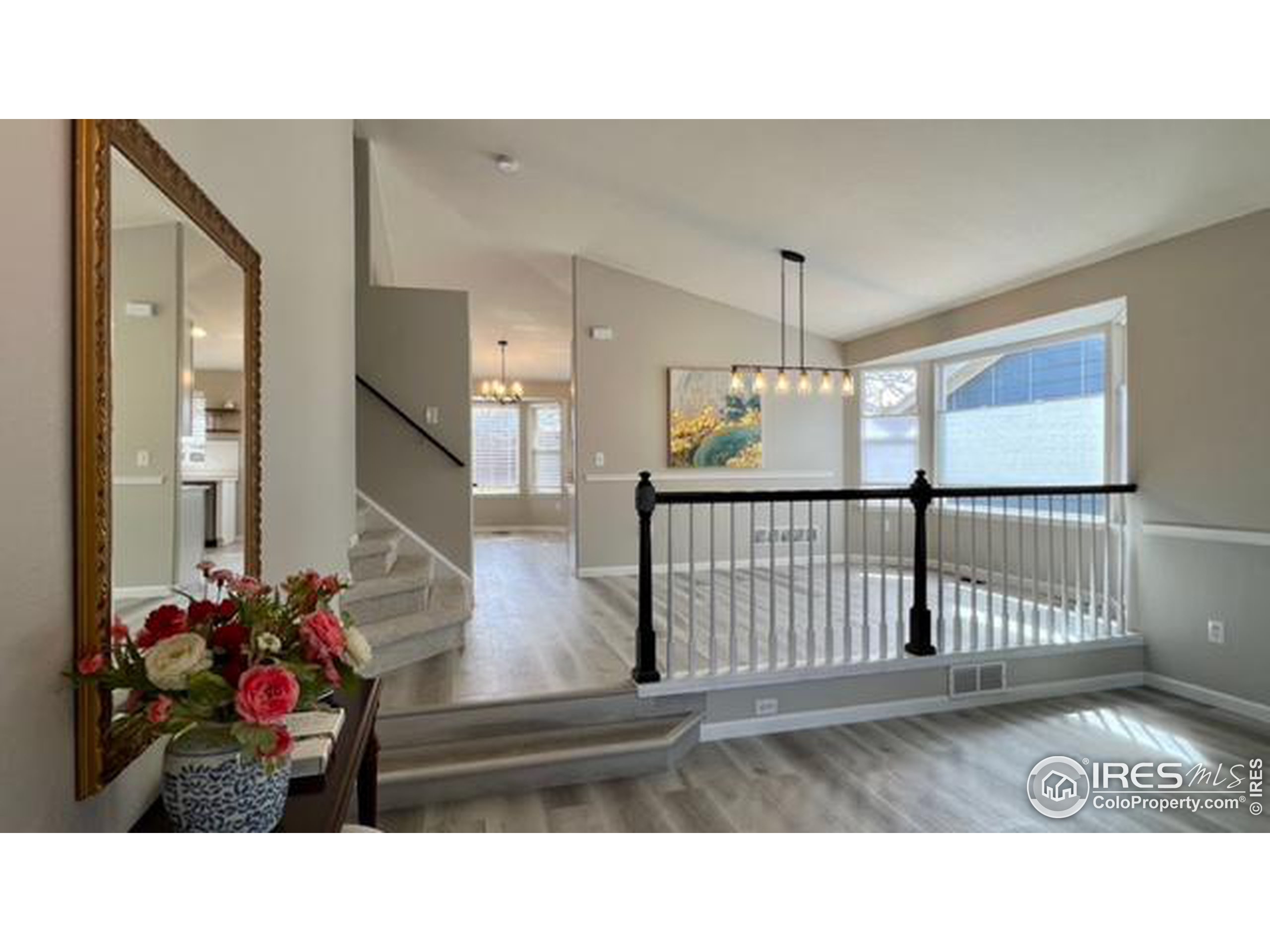 13612 Plaster Cir