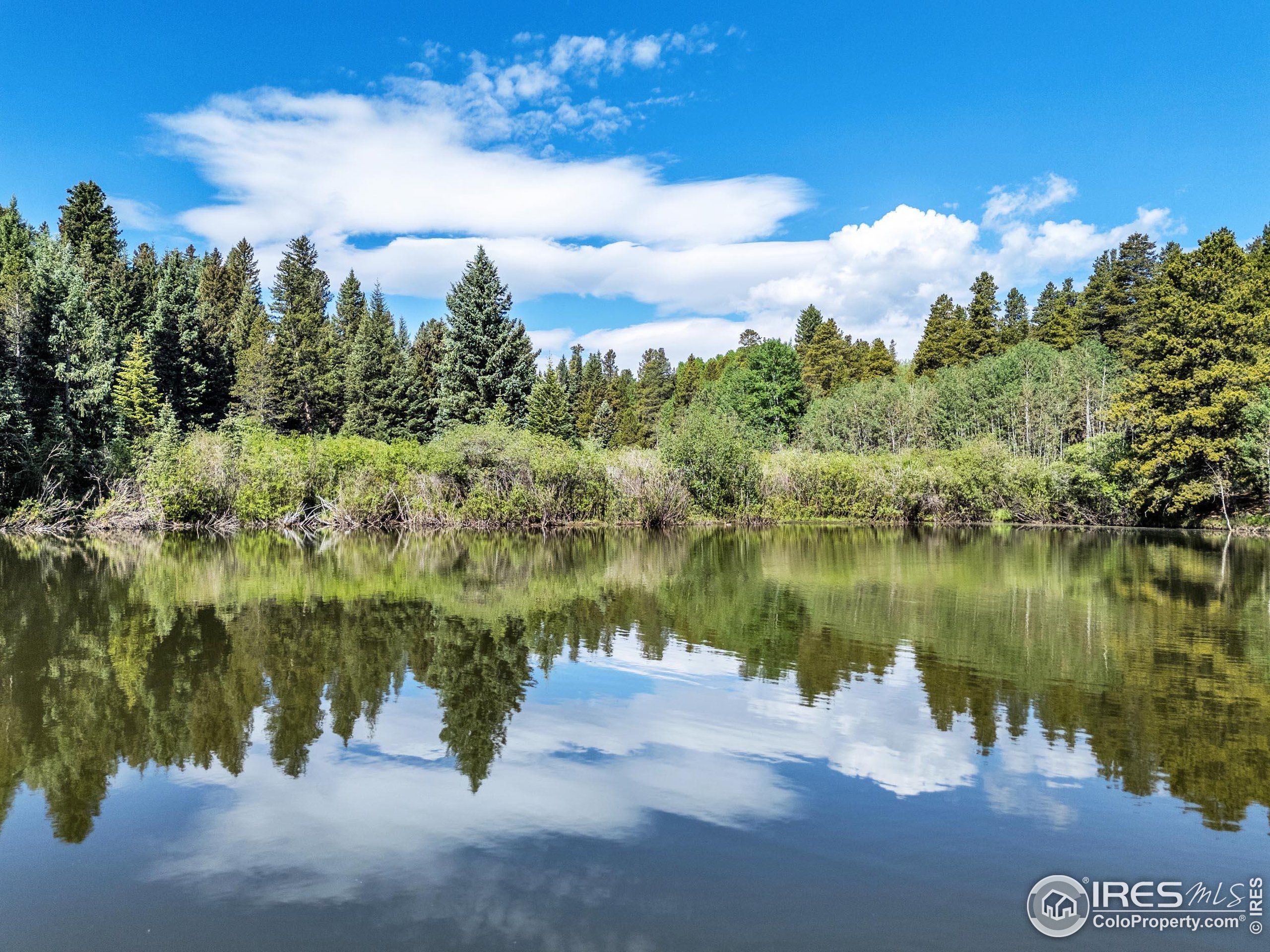 16903 Highway 119