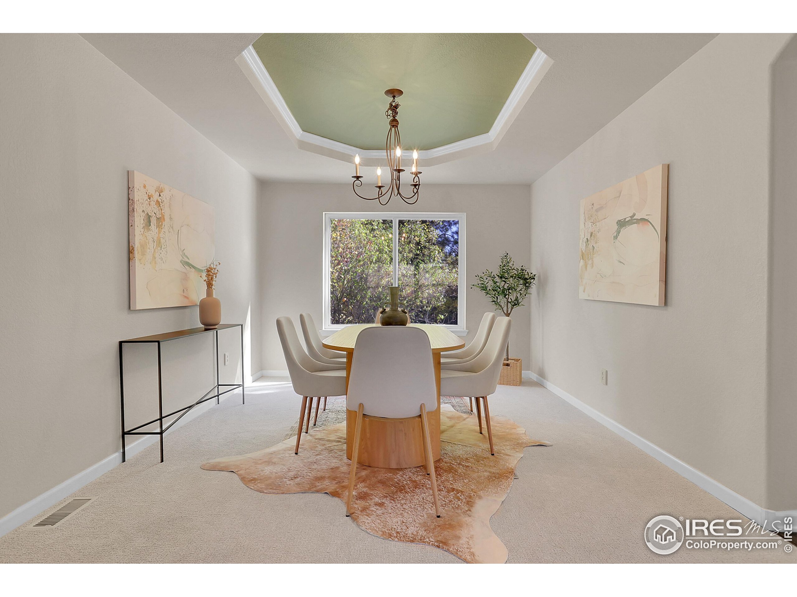 2319 High Lonesome Trl