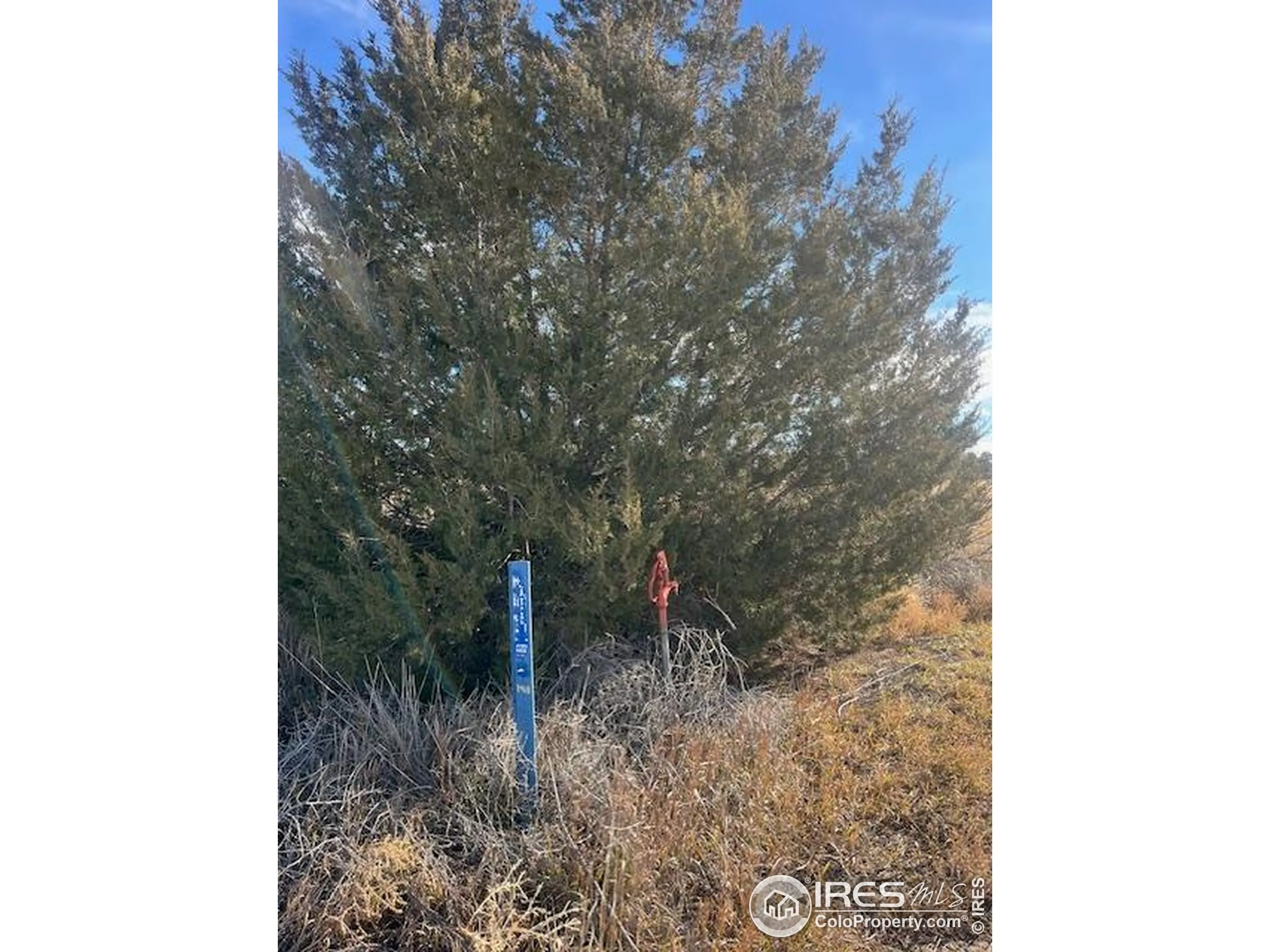 Wiggins, Colorado 80654, United States, ,Land,Active,85085