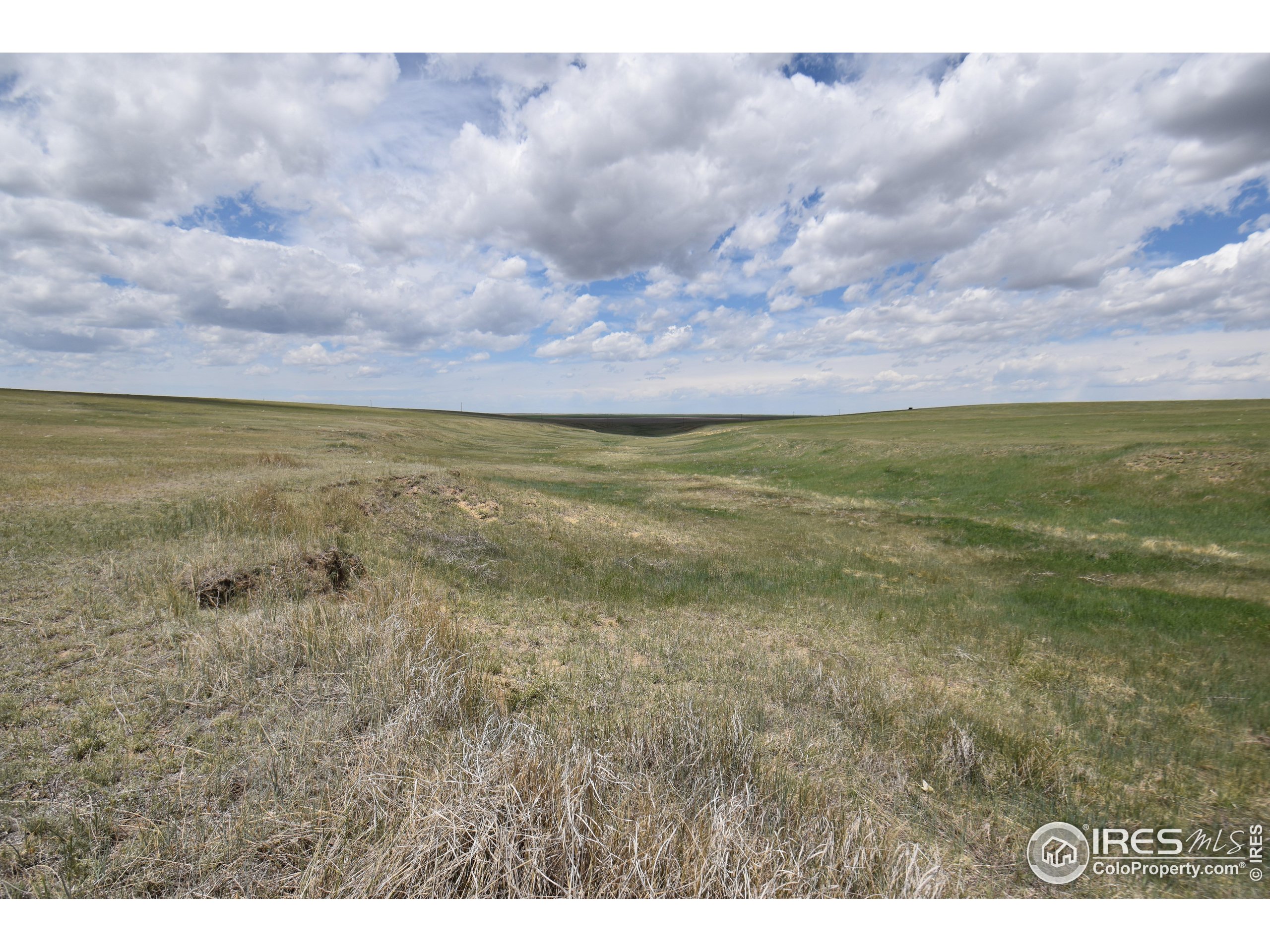 19944 County Road M