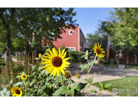 Tiny photo for 1517 Easy Rider Ln 101 & 102, Boulder, CO 80304 (MLS # 1045193)
