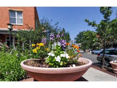 Tiny photo for 1517 Easy Rider Ln 101 & 102, Boulder, CO 80304 (MLS # 1045193)