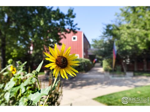 Tiny photo for 1517 Easy Rider Ln 101 & 102, Boulder, CO 80304 (MLS # 1045193)