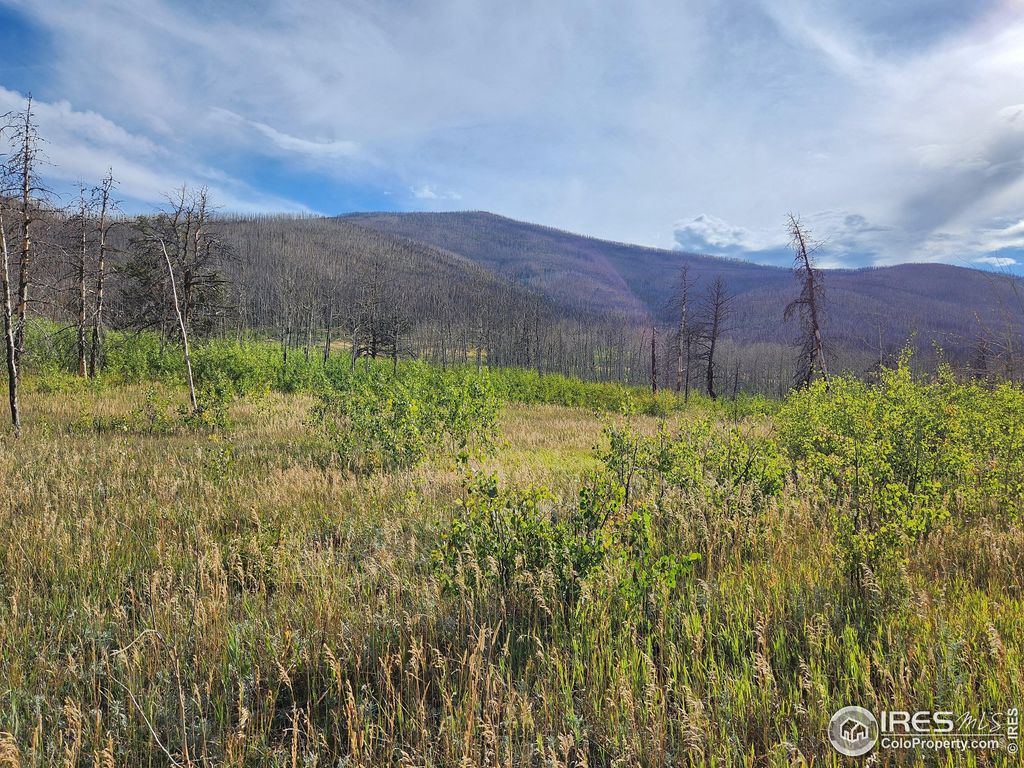 Photo of 0 Crystal Mountain Rd, Bellvue, CO 80512 (MLS # 1047926)
