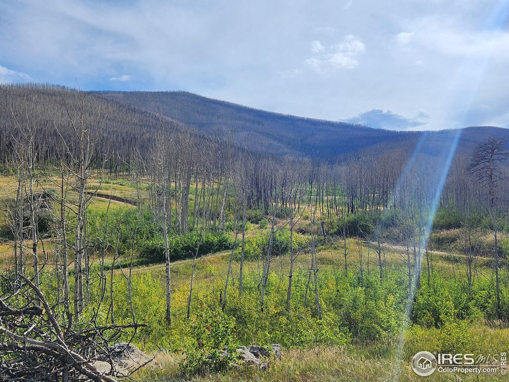 Photo of 0 Crystal Mountain Rd, Bellvue, CO 80512 (MLS # 1047926)