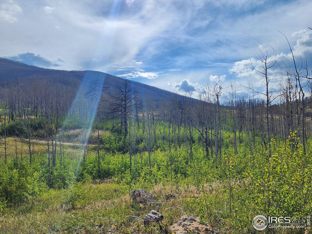 Photo of 0 Crystal Mountain Rd, Bellvue, CO 80512 (MLS # 1047926)