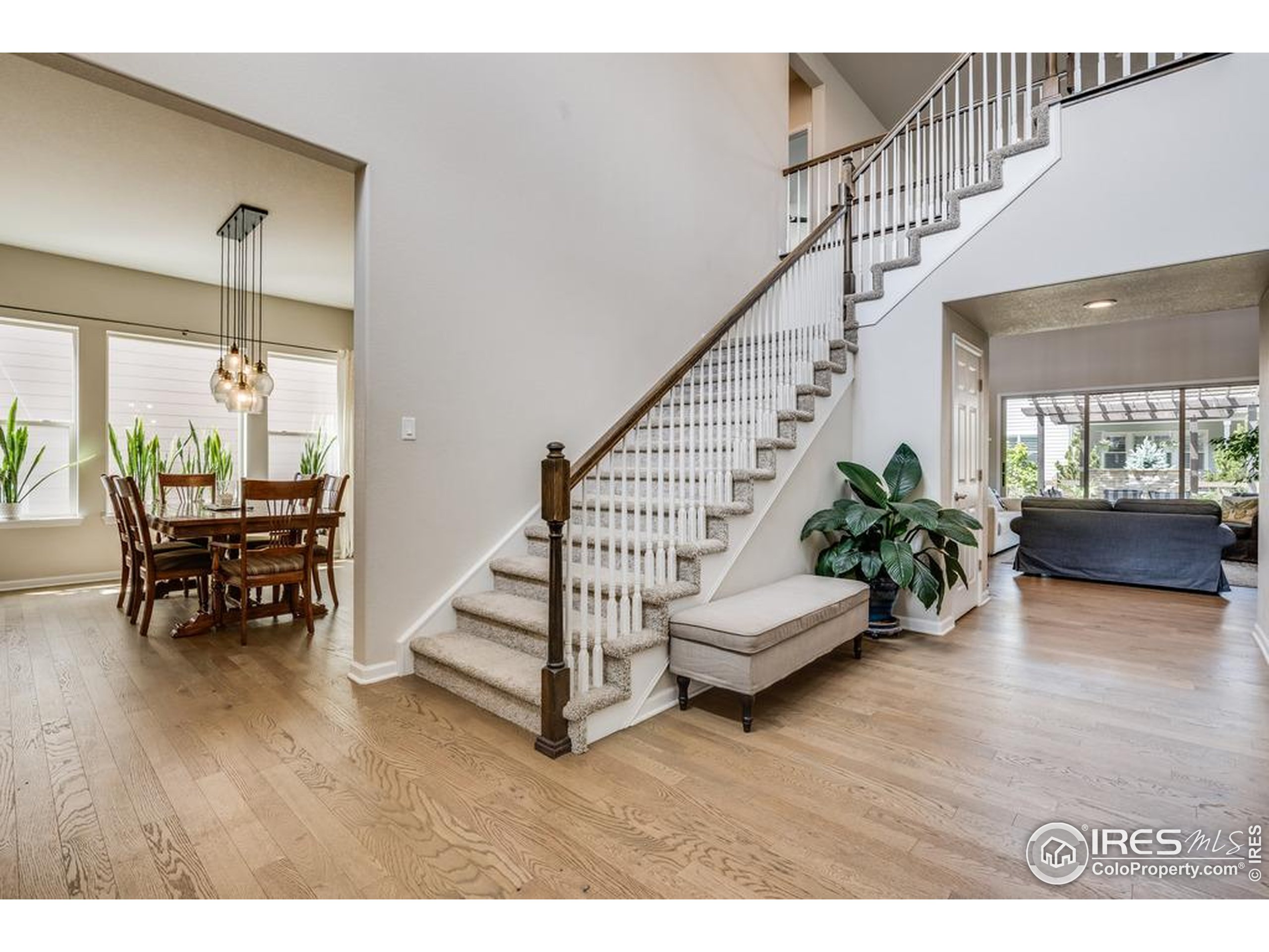 5921 Medlar Pl