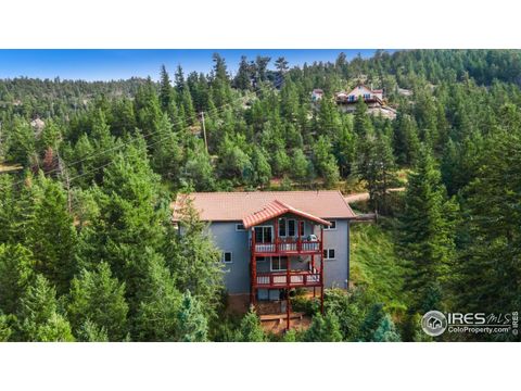 1005 Estes Park Estates Dr Lyons CO 80540