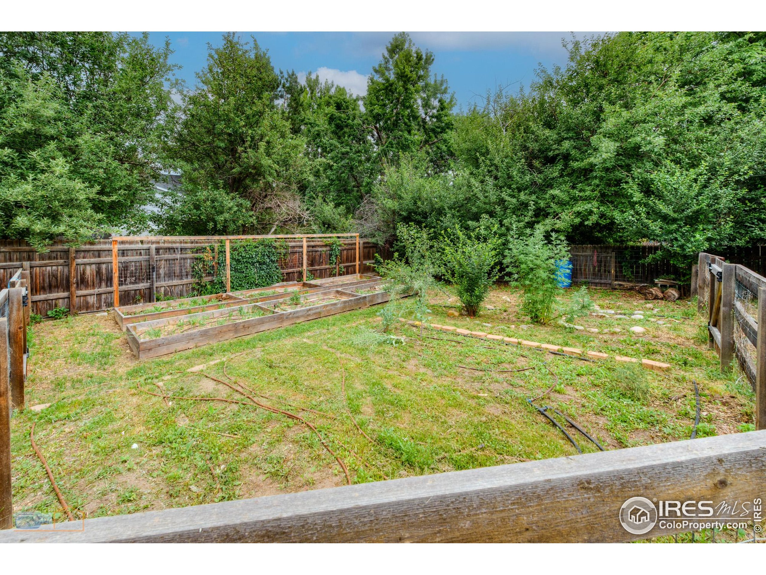 419 Centennial Dr