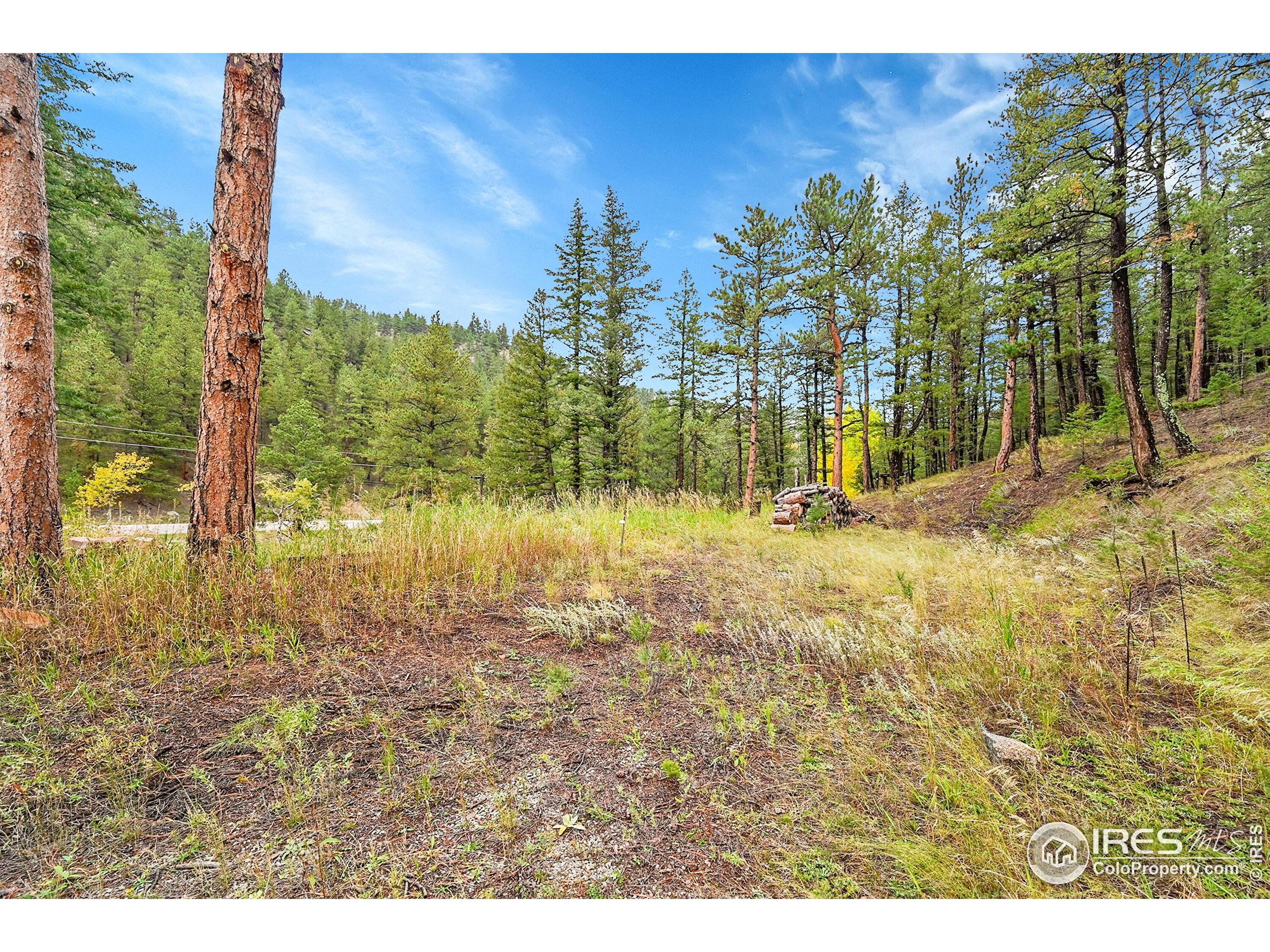 5567 Lefthand Canyon Dr