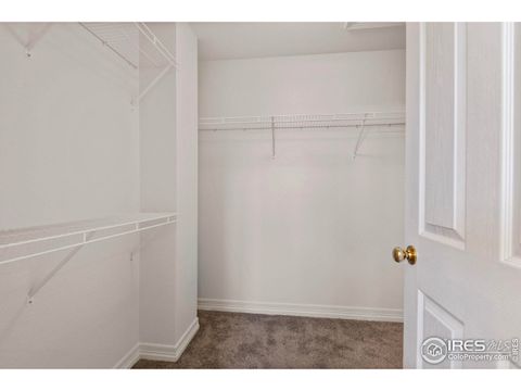 Tiny photo for 14025 Blue River Trl, Broomfield, CO 80023 (MLS # 1048026)
