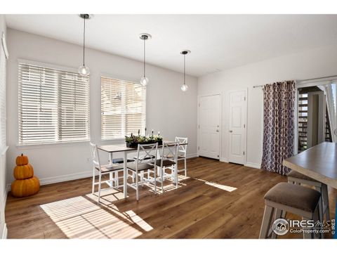 Tiny photo for 14025 Blue River Trl, Broomfield, CO 80023 (MLS # 1048026)