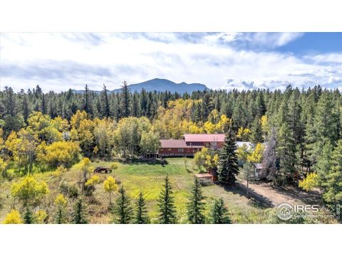 188 Ponderosa Way Nederland CO 80466