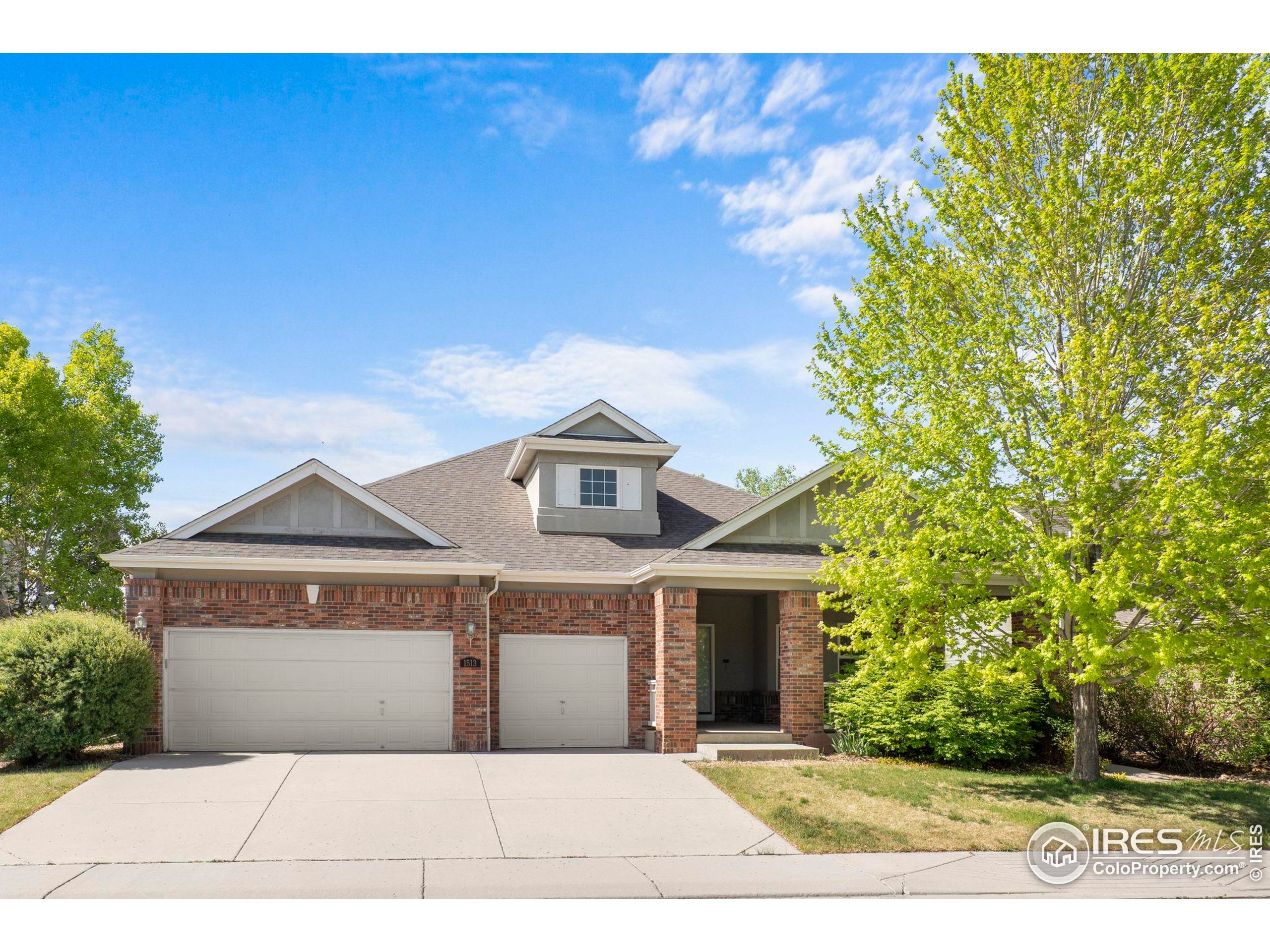 1513 Cannon Mountain Dr