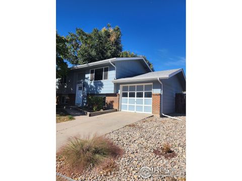 816 Iron Mountain Ct, Windsor, CO 80550 - #: 998529