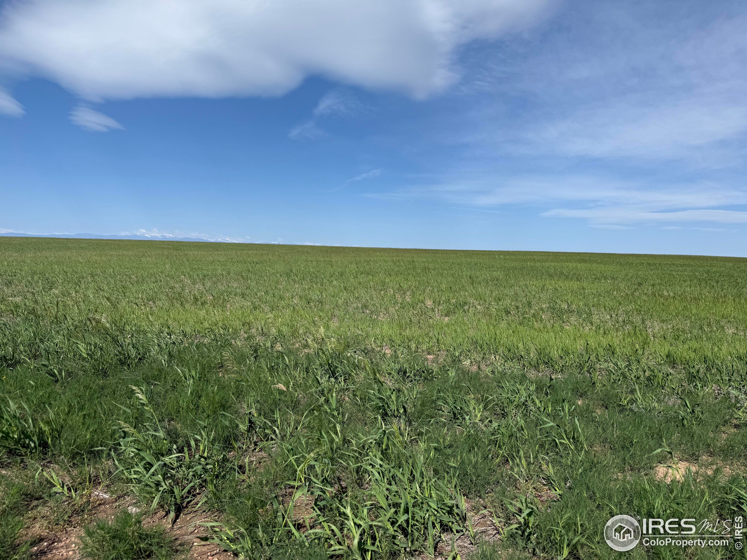 1 TBD FFD25-0005 LotA CO Road 15