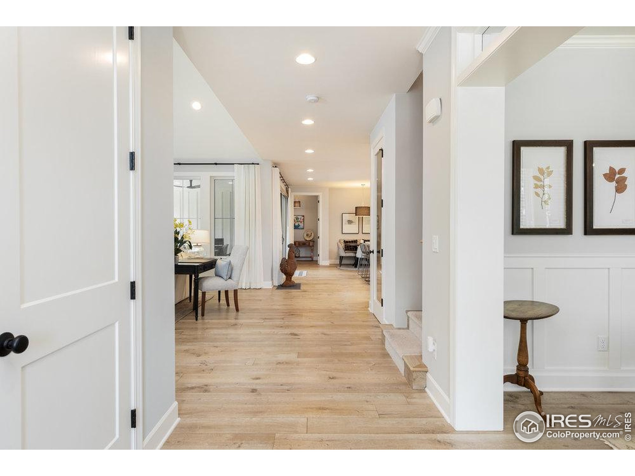 917 Neon Forest Cir