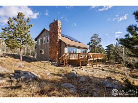 198 Frontier Ln Nederland CO 80466