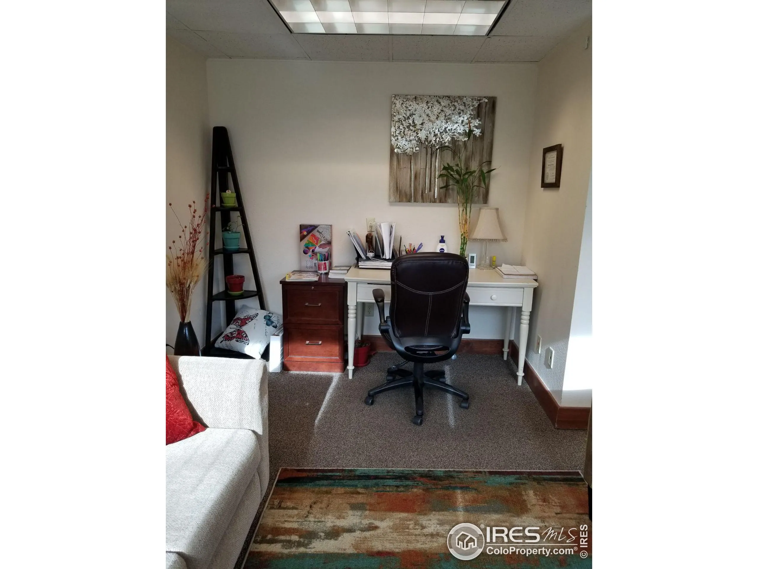 Fort Collins, Colorado 80525, United States, ,Commercial,Pending,58428