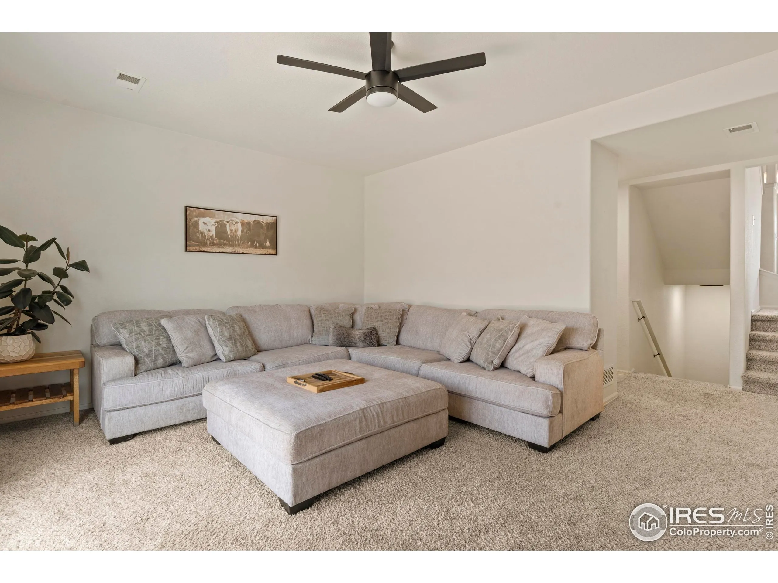 Wellington, Colorado 80549, United States, 3 Bedrooms Bedrooms, ,3 BathroomsBathrooms,Residential,Active,185704