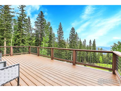 1176 Raven Ridge Rd Idaho Springs CO 80452